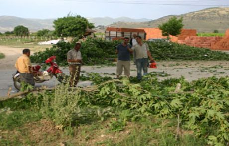 Şiddetli Fırtına Hayatı Durdurdu
