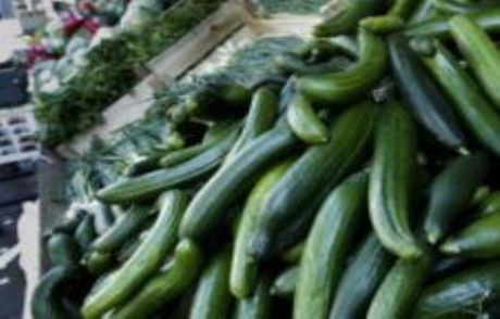 Almanya'da E.coli Vakaları Artıyor
