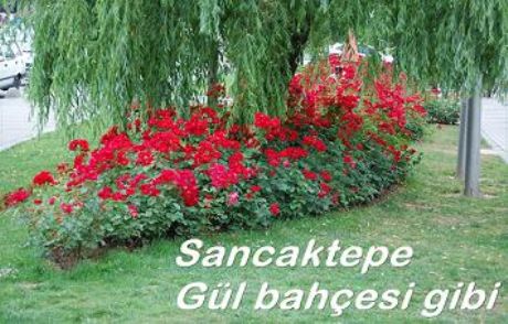 Sancaktepe Gül Bahçesi Gibi