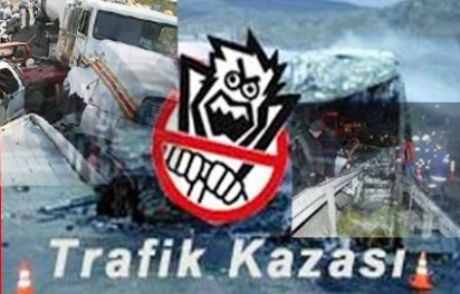 Köpeğe Çarpan Araç Takla Attı