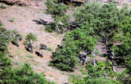 Tunceli'de Askeri Operasyon