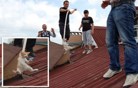 Mahalleyi Ayağa Kaldırdı