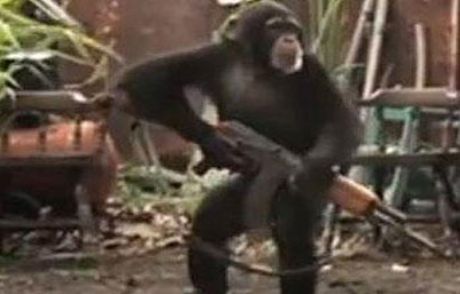 Çok Yakında Gerçek Olabilir