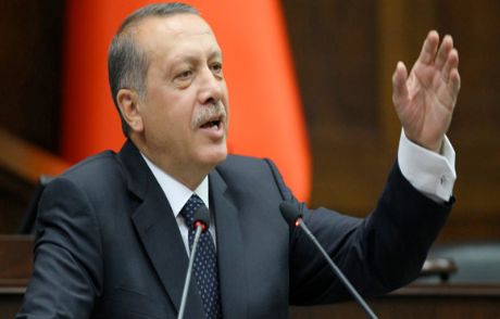 Norveç Canisinin İlginç Erdoğan Yorumu