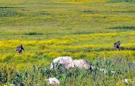 Flaş...şemdinli'de Hava Hareketliliği