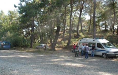 Beyzbol Sopalarıyla Öldürüldü