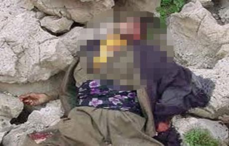 Pkk'lıya Yeşil Kartla Tedavi İddiası
