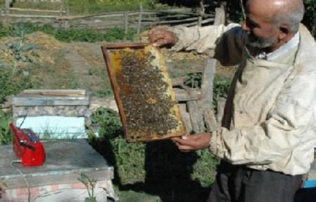 Bu Da 'vaazlı Ayı Kovma' Yöntemi