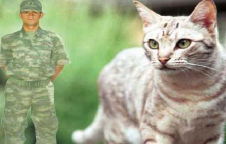 Kışlada Kedi Dayağı