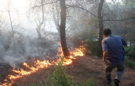 Keşan'da Orman Yangını