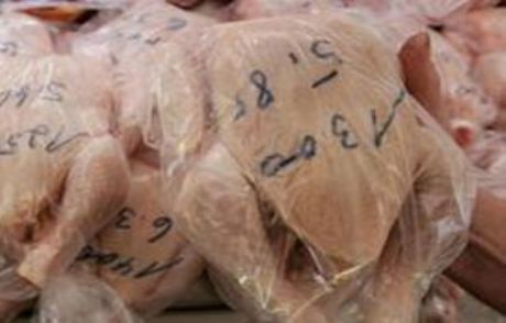 Besicilikte Antibiyotik Skandalı