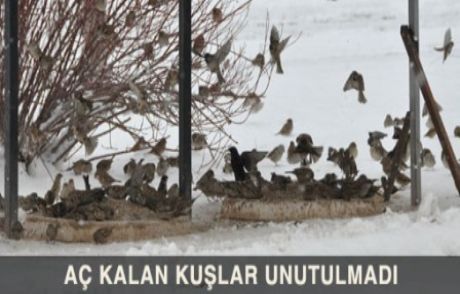 Aç Kalan Kuşlar Unutulmadı