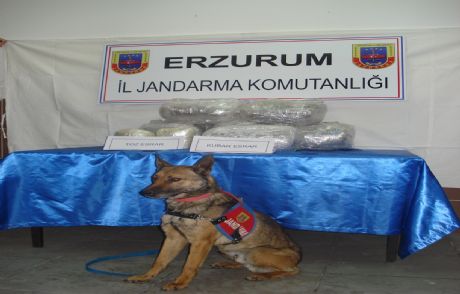 Jandarma'dan Uyuşturucu Operasyonu