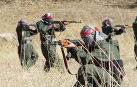 Pkk, 25 Kurucu Ve Yöneticisini İnfaz Etmiş