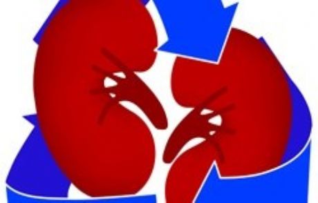 Organ Bağışçılarına 'vasiyet' Uyarısı