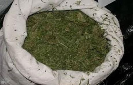 Kütahya'da 198 Kilo Esrar Ele Geçirildi
