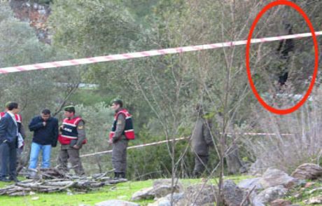 Kayıp Şoför, Ağaca Asılı Bulundu
