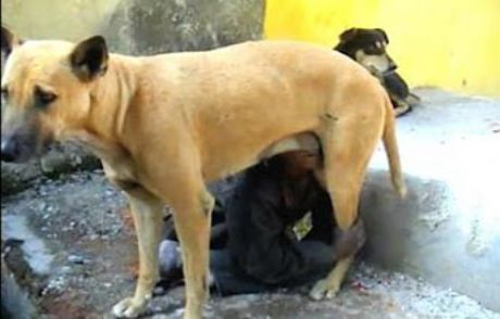 Köpek Sütü İçerek Hayatta Kaldı