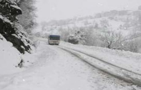 Tunceli'de Çığda Mahsur Kalanlar Kurtarıldı