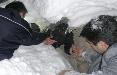 Kayıp Öğretmen Donmak Üzereyken Bulundu