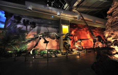 Dinozorlar Yaşıyor!