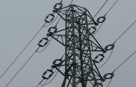 Tavuk Gübresinden Elektrik Üretilecek