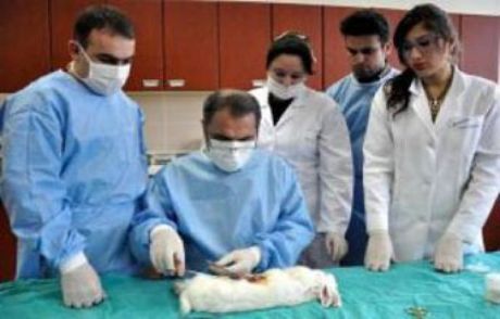 Ülser İlacı, Mide Kanseri Riskini Artırıyor