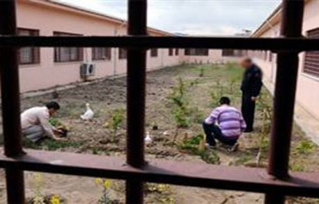 Cezaevindeki İşkenceyi Çocuklar Anlattı