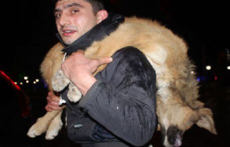 Başkanın Kapısına Köpek Leşi Bıraktı