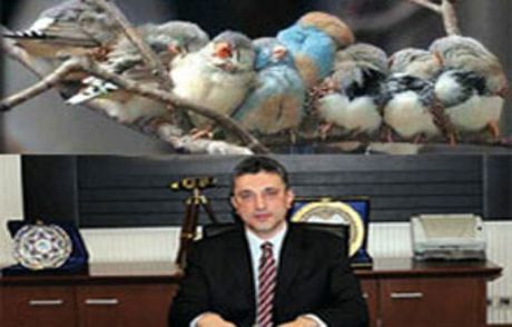 'müdür Sıyırdı' Dedirten Mail