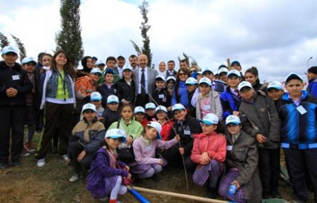 Sultangazi'yi Erguvan Ağaçları Süsleyecek