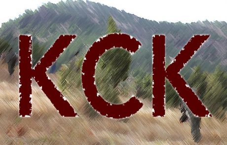 Pkk, Yeni Bir Yapı Kuruyor