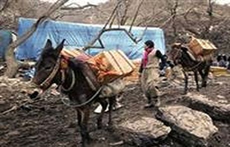Kaçakçılıkta Tüyler Ürperten Pkk Rolü