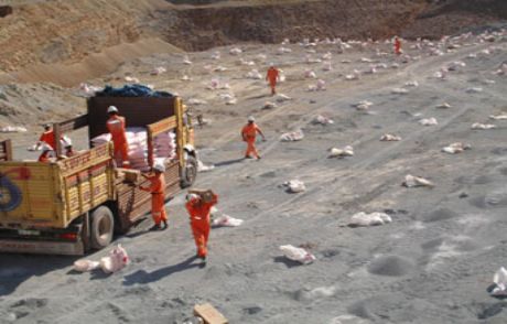 Yeraltında 800 Ton Altın Var