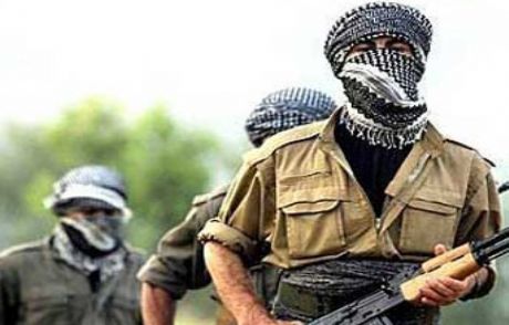 Pkk'nın Avrupa'daki Kasası Tutuklandı