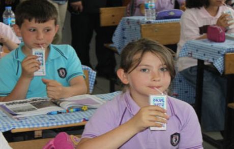 Okullarda Saray Geleneği