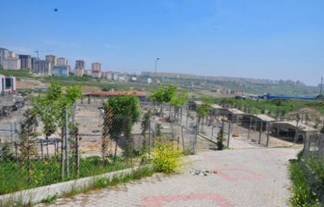 'hayvan Barınağı'nı Parka Çeviriyoruz'