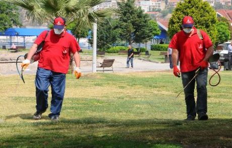 İzmir'de 'kene' Önlemi