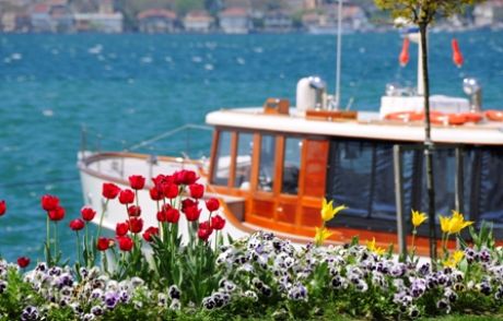 Beykoz'da Lale Cümbüşü