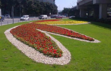 İzmir 'rengârenk' Oldu!