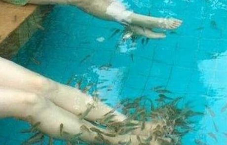 Doktor Balıklar Alanya'da