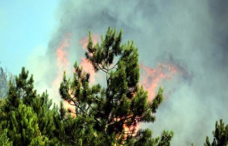 Antalya'da Orman Yangını