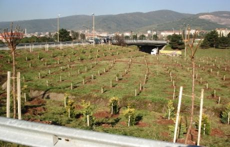 Başkan'a Yeşil Berat Verilecek