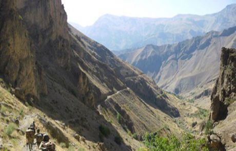 Siirt'te Bir Sığınakta Mühimmat Ele Geçirildi