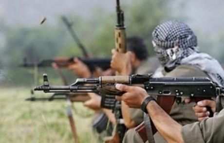Teslim Olan 15 Pkk'lı Serbest Kaldı
