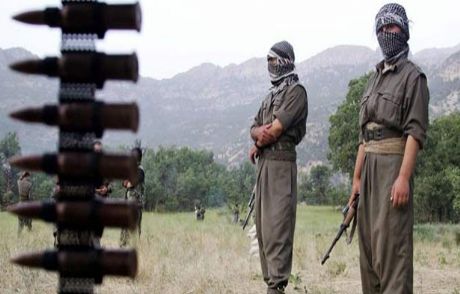 Pkk'lılar Tunceli'de 2 Köylüyü Kaçırdı