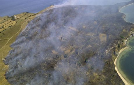 Avşa Ve Erdek'te 150 Hektar Orman Yandı