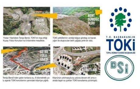 Toki: Suçlu Dsi