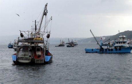 Kaçak Avlanan Yandı