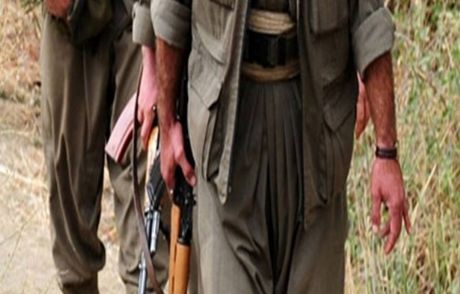 100'den Fazla Pkk'lı Terörist Öldürüldü!